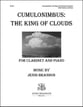 Cumulonimbus: The King of Clouds Clarinet and Piano cover